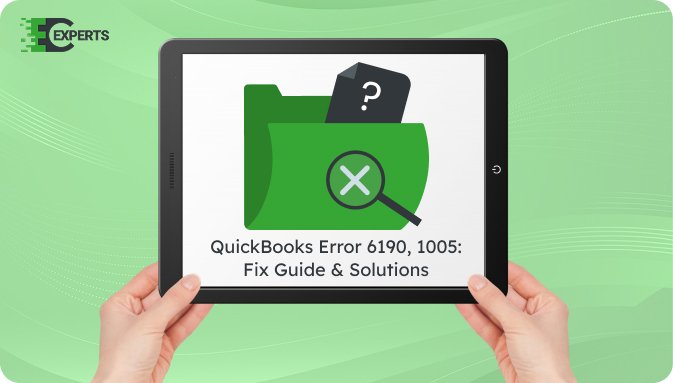 QuickBooks Error 6190, 1005