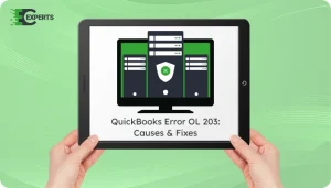 QuickBooks Error OL 203