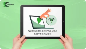 QuickBooks Error OL 209
