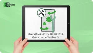 QuickBooks Error OLSU 1013