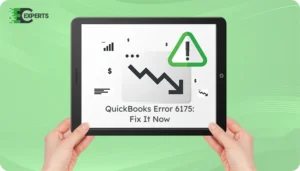 QuickBooks Error 6175