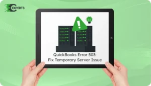 QuickBooks Error 503