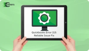 Quickbooks Error 213