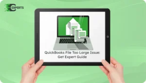 QuickBooks File Too Large Issue